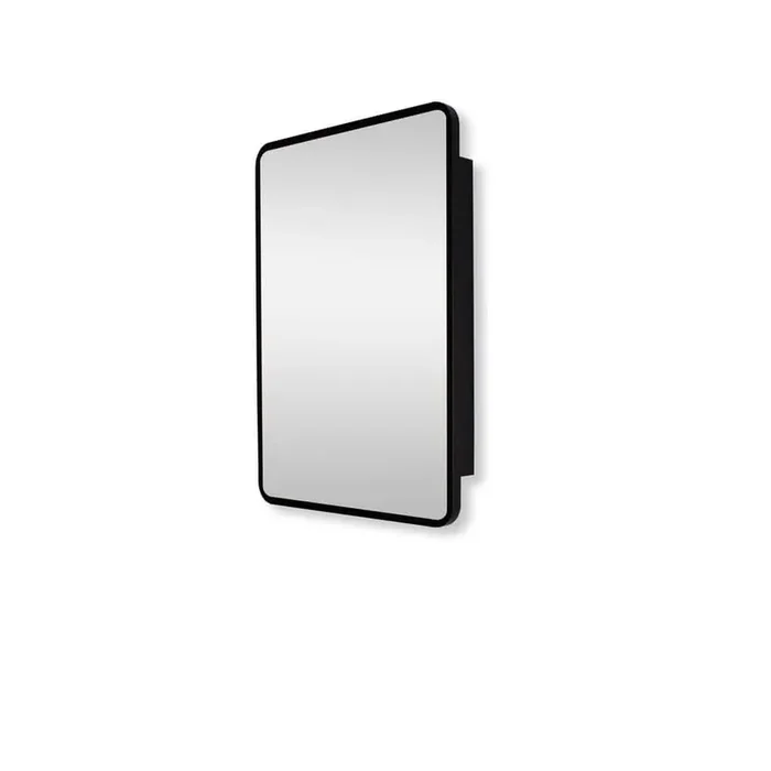 20 in. W x 28 in. H Rectangular Surface or Recessed Mount Black Bathroom Medicine Cabinet with Mirror