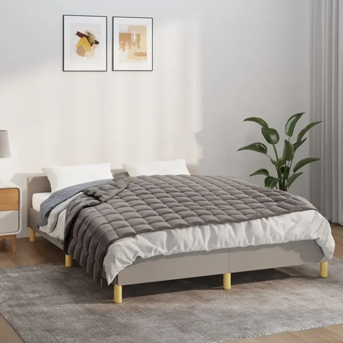vidaXL Weighted Blanket Gray 53.1‘‘x78.7‘‘ 13.2 lb Fabric